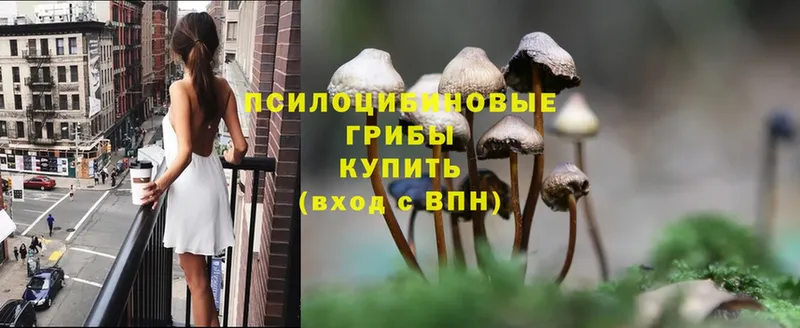 Псилоцибиновые грибы Psilocybine cubensis  OMG ссылки  Муравленко  купить наркотики сайты 